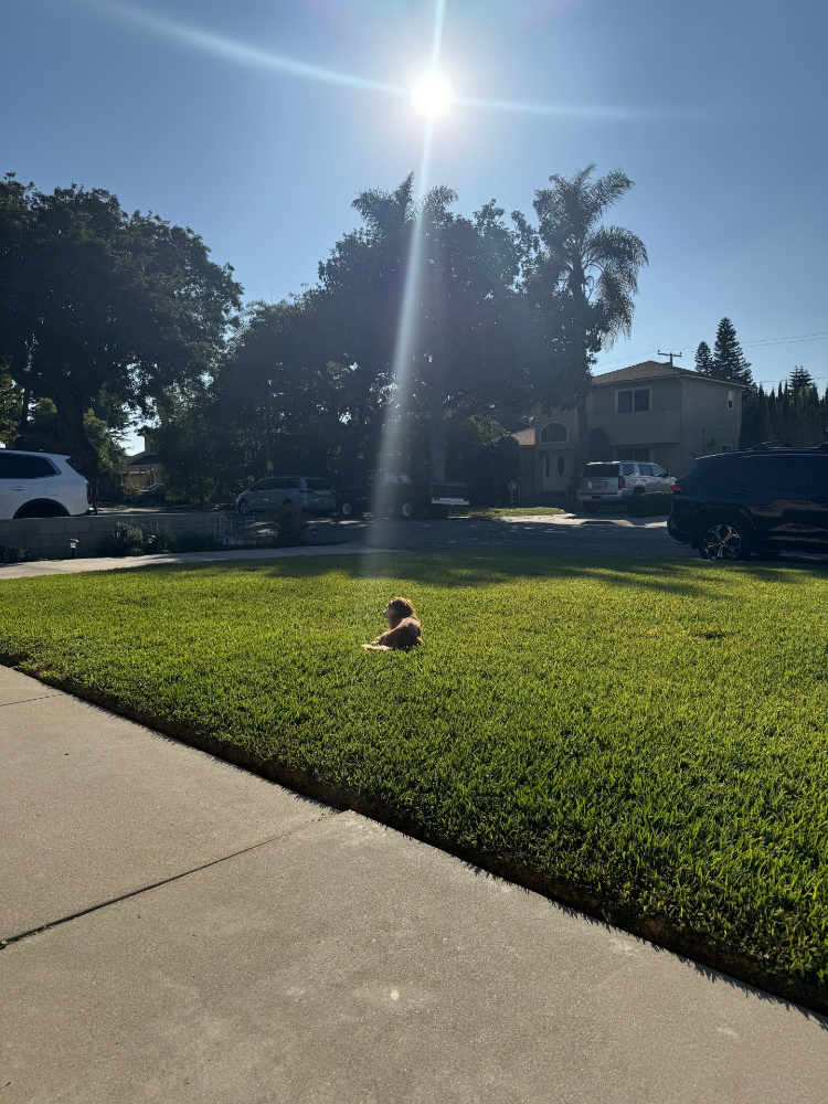 Spirit Sightings & The Miraculous